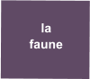 la faune