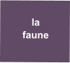 la faune