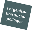 l’organisa- tion socio- politique